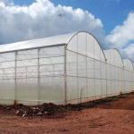 Greenhouses Investments